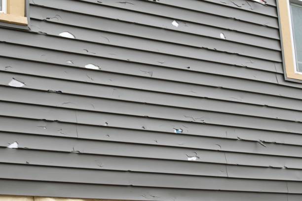 Best Wood Siding Installation  in Lake Holm, WA